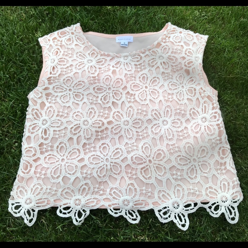 Dusty Pink Lace Crop Top